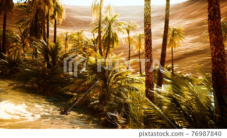 Oasis in hot Sahara Desert Oasis in hot Sahara Desert 76987840