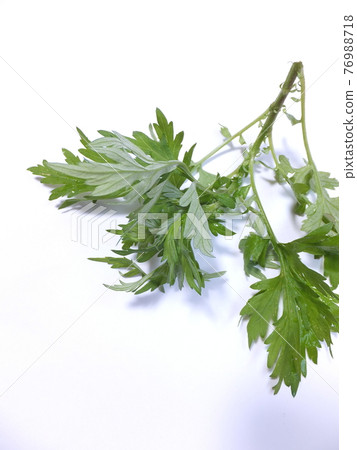 春味艾草 76988718