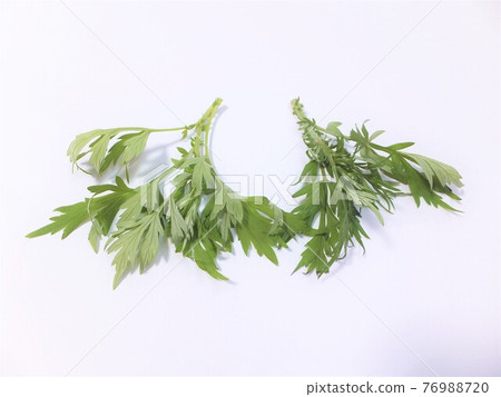 春味艾草 76988720