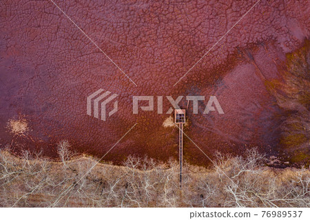 Chemicals dump site, dry red soil with dead plants  rusty pipes and animal paw prints 76989537