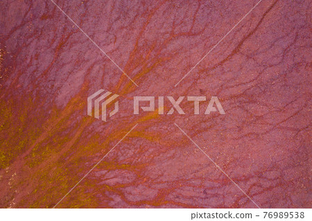 Dry red soil with dead plants  rusty pipes and animal paw prints, aerial drone view. 76989538