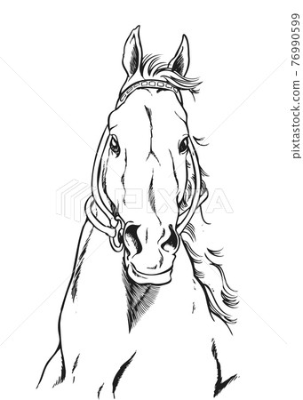 賽馬，前面，向上 76990599