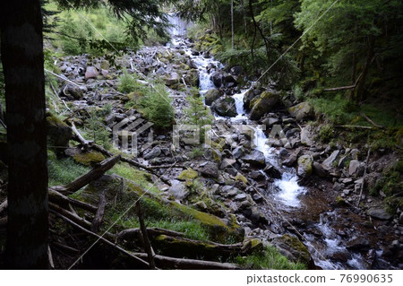 Yatsugatake summer plateau clear stream from Mino doorway to Akadake on the Minamizawa course 76990635