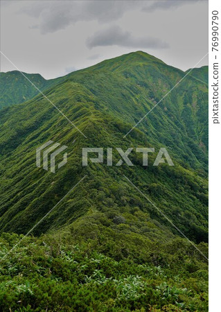 Ridge from Mt. Makikura to Mt. Usagi 76990790