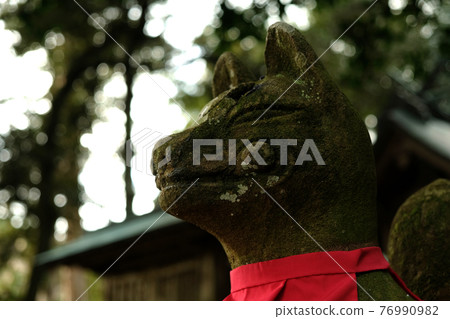 狐狸 狐狸 76990982