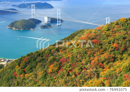 【愛媛縣】來島海峽大橋和紅葉 【愛媛縣】來島海峽大橋和紅葉 76991075