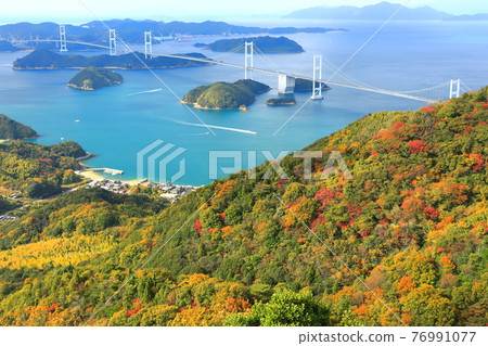 [Ehime Prefecture] Kurushima Kaikyo Bridge and Autumn Leaves 76991077