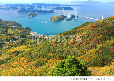 【愛媛縣】來島海峽大橋和紅葉 【愛媛縣】來島海峽大橋和紅葉 76991079
