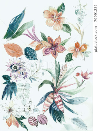 色彩豐富的花卉素材組合和設計元素 色彩豐富的花卉素材組合和設計元素 76991223