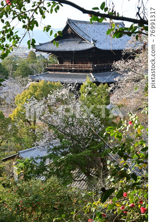 從琵琶湖運河看到的南禪寺 從琵琶湖運河看到的南禪寺 76991317