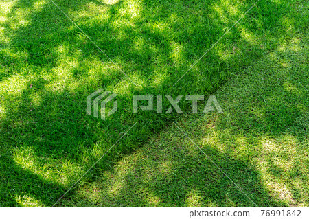 Straigh diagonal line of mowed tall grass at home backyard or city park. Lawn trimming service and garden maintenance concept. Lawnmower lawn care background with mid day shadows 76991842