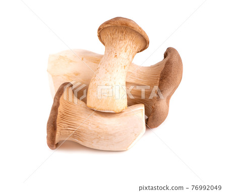 King oyster mushroom isolated on white background. Pleurotus eryngii mushroom. King oyster mushroom isolated on white background. Pleurotus eryngii mushroom. 76992049