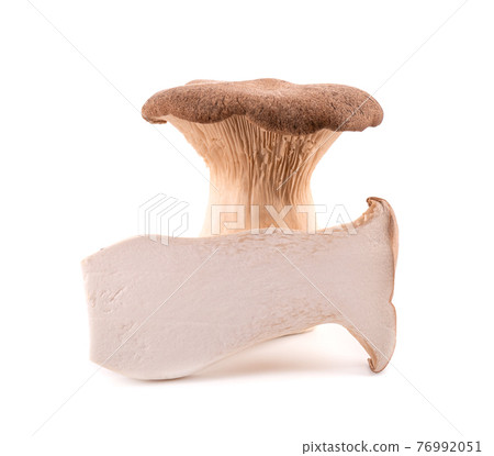 King oyster mushroom isolated on white background. Pleurotus eryngii mushroom. King oyster mushroom isolated on white background. Pleurotus eryngii mushroom. 76992051