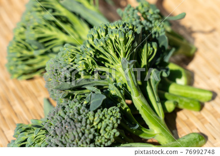 Harvesting stalk broccoli Stick Senor (February) Home garden 76992748