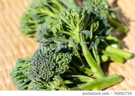 Harvesting stalk broccoli Stick Senor (February) Home garden 76992750