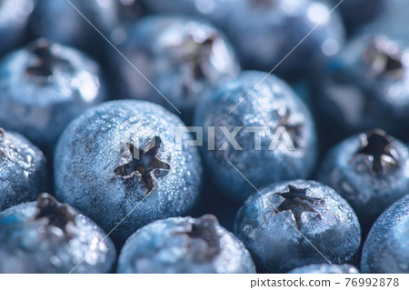 Fresh ripe blueberries with drops of dew 76992878