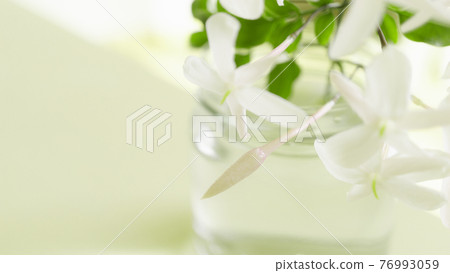 Botanical signs, blur, bokeh, flower background, fashionable, hagoromo jasmine, beautiful Botanical signs, blur, bokeh, flower background, fashionable, hagoromo jasmine, beautiful 76993059