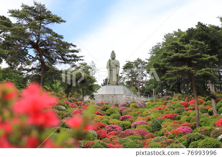 Shiofune Kannonji Temple, Shiofune, Ome City, Tokyo 76993996