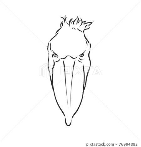 Hand drawn sketch style shoebill. Vector illustration isolated on white background. Hand drawn sketch style shoebill. Vector illustration isolated on white background. 76994882