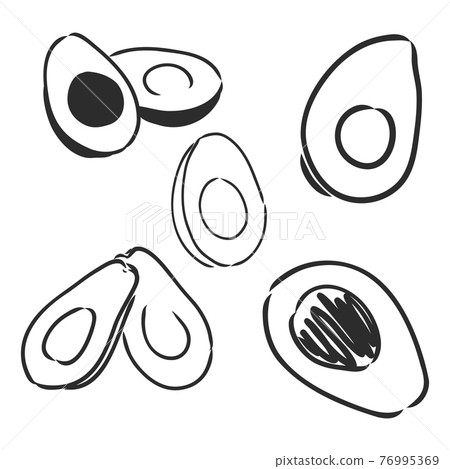 Avocado. Contour illustration. Exotic fruit in woodcut style. Isolated vector on white background. 76995369