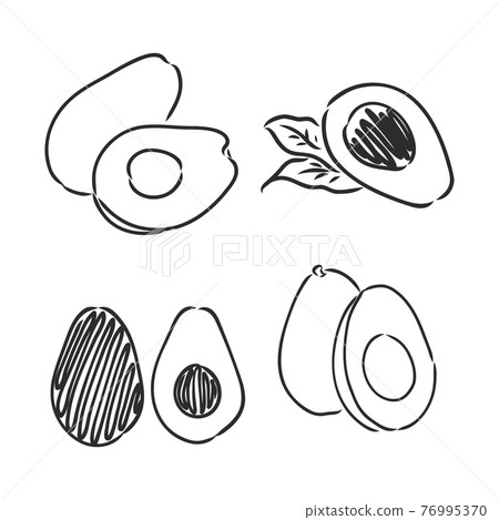 Avocado. Contour illustration. Exotic fruit in woodcut style. Isolated vector on white background. Avocado. Contour illustration. Exotic fruit in woodcut style. Isolated vector on white background. 76995370
