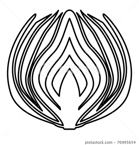 Onion cut in half part Bulbs chopped sliced Onion cut in half part Bulbs chopped sliced 76995654