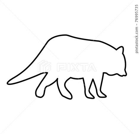 Raccoon Coon contour outline black color vector Raccoon Coon contour outline black color vector 76995735