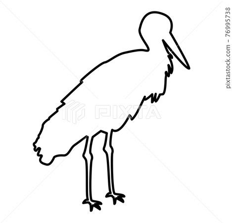 Stork Bird standing Crane Heron contour outline Stork Bird standing Crane Heron contour outline 76995738