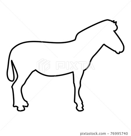 Zebra stand Animal standing contour outline black  76995740