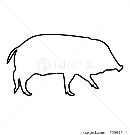 Wild boar Hog wart Swine Suidae Sus Tusker Scrofa Wild boar Hog wart Swine Suidae Sus Tusker Scrofa 76995744