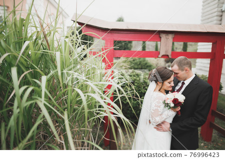 Beautiful romantic wedding couple of newlyweds hugging near old castle Beautiful romantic wedding couple of newlyweds hugging near old castle 76996423