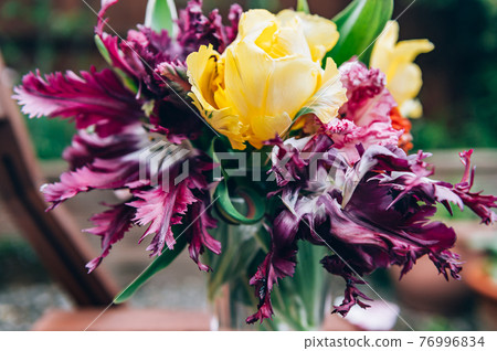 Bunch of Parrot Style Tulips 76996834