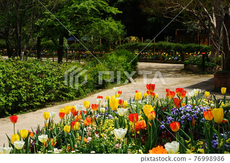 April Chofu 1001 鬱金香花壇/京王花卉園昂熱 76998986