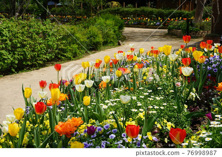 4月調布999鬱金香花壇/京王花卉園昂熱 4月調布999鬱金香花壇/京王花卉園昂熱 76998987