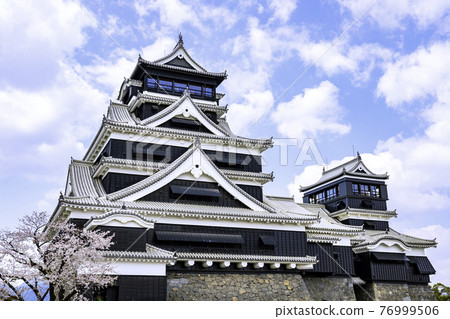 Kumamoto Castle, where restoration work is proceeding smoothly The castle tower has been restored to a beautiful appearance (photographed on March 22, 2021) 76999506