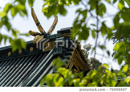 [靜岡縣] 久野山東照宮 76999897