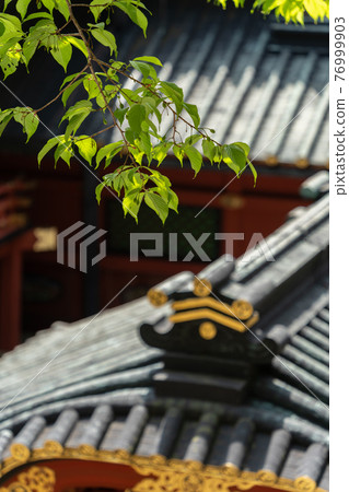 [靜岡縣] 久野山東照宮 76999903