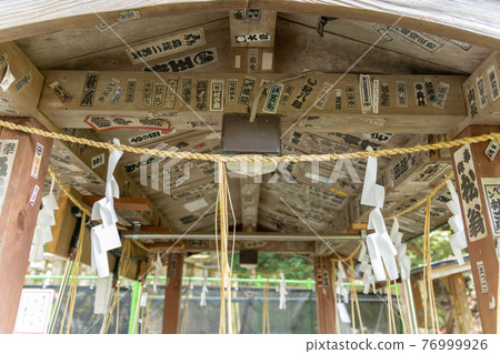[Shizuoka Prefecture] Kunozan Toshogu Shrine 76999926
