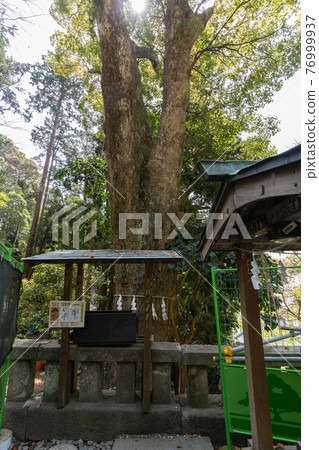 [靜岡縣] 久野山東照宮 76999937