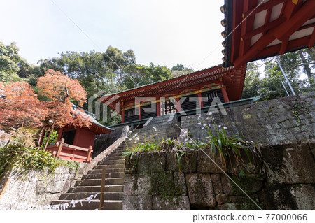 [靜岡縣] 久野山東照宮 77000066