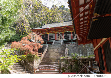 [靜岡縣] 久野山東照宮 77000080