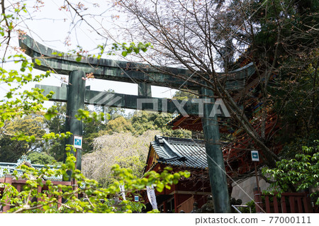 [靜岡縣] 久野山東照宮 77000111