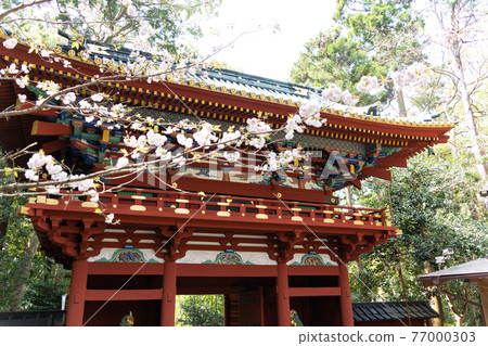 [Shizuoka Prefecture] Kunozan Toshogu Shrine 77000303