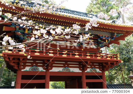 [Shizuoka Prefecture] Kunozan Toshogu Shrine 77000304