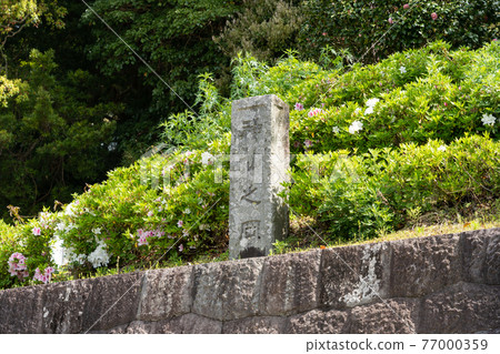 [Shizuoka Prefecture] Kunozan Toshogu Shrine 77000359