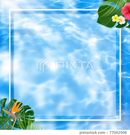 Tropical atmosphere frame-there are multiple variations 77002006