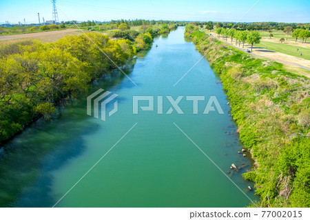 從神子橋到初春入間川的風景 77002015