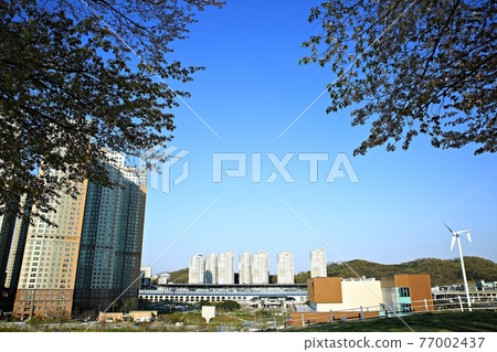 City spring scenery, spring day 77002437