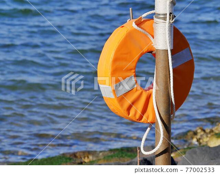 Lifebuoy 1 Lifebuoy 1 77002533