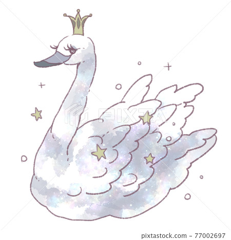 fancy swan